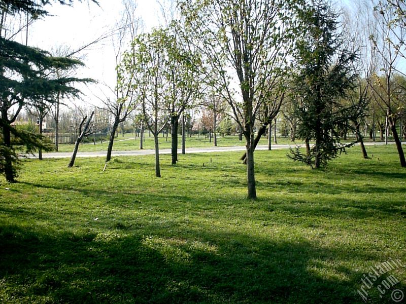 View of Botanical Park in Bursa city of Turkey.
