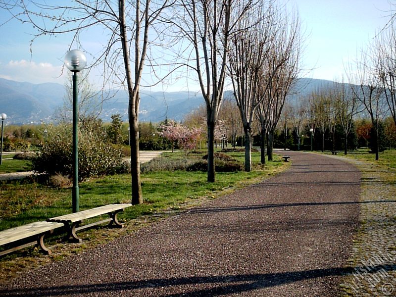 View of Botanical Park in Bursa city of Turkey.
