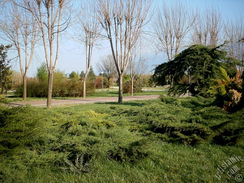 View of Botanical Park in Bursa city of Turkey.
