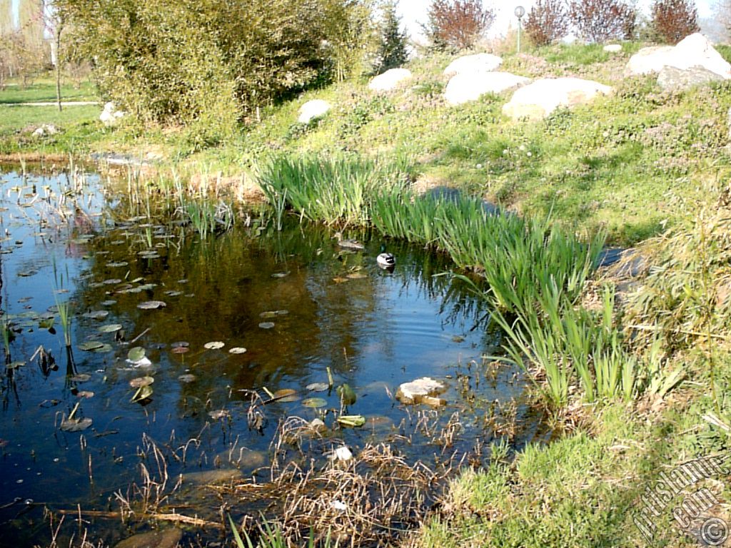 View of Botanical Park in Bursa city of Turkey.
