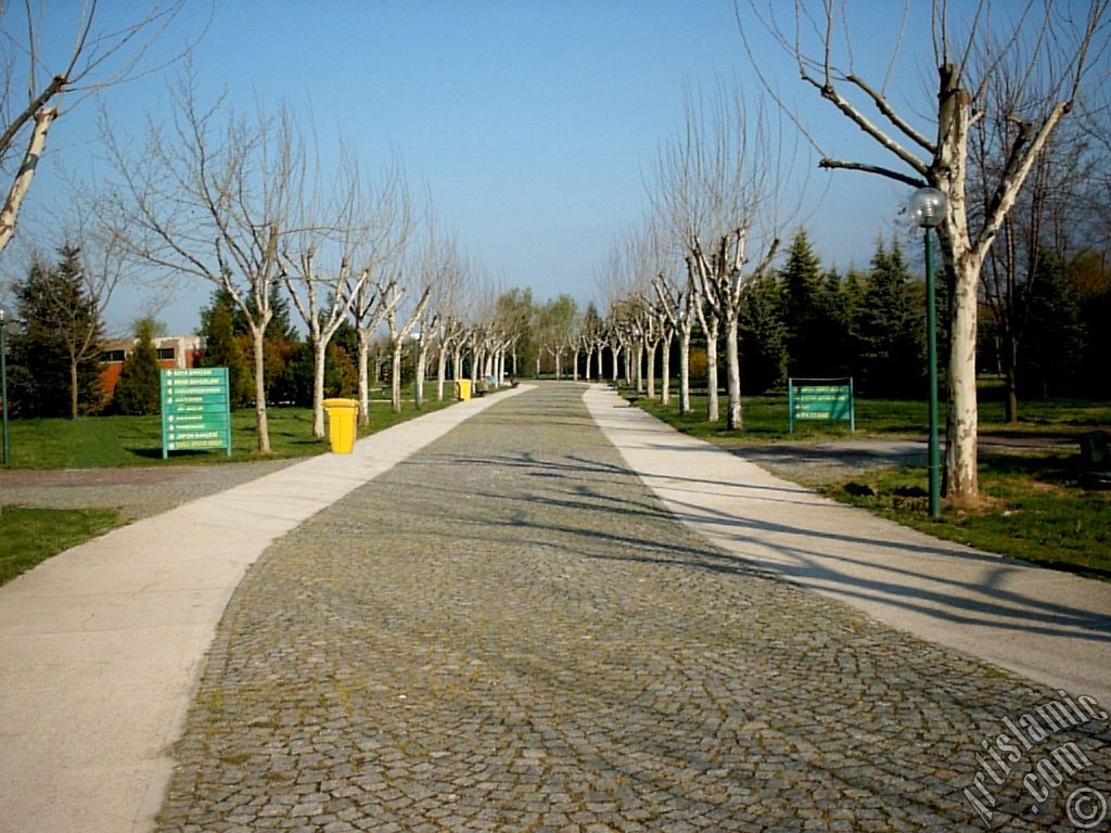 View of Botanical Park in Bursa city of Turkey.
