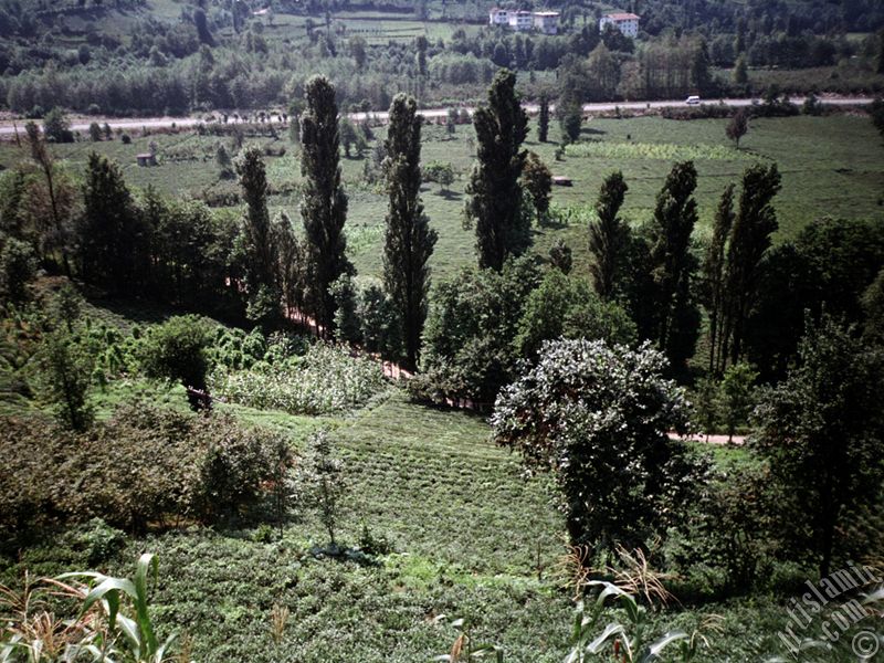 View of village from `OF district` in Trabzon city of Turkey.
