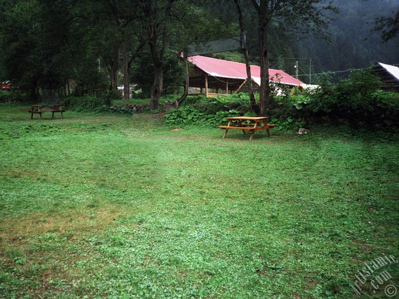 View of Uzungol high plateau located in Trabzon city of Turkey.
