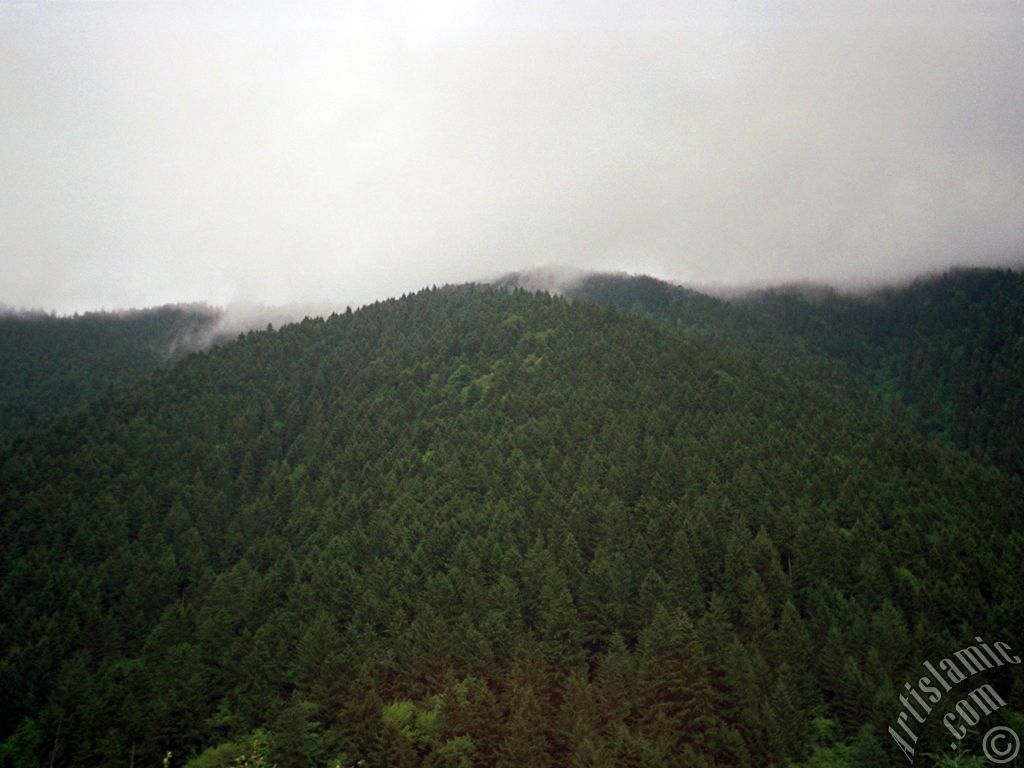 View of Uzungol high plateau located in Trabzon city of Turkey.
