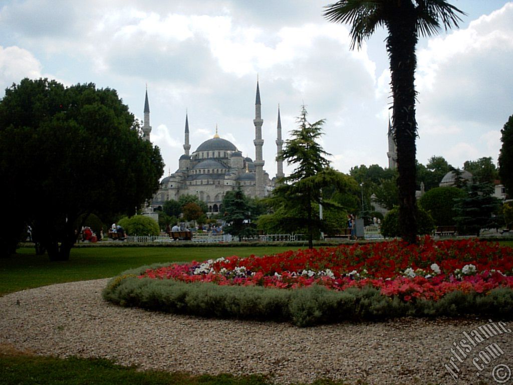 Sultan Ahmet Mosque (Blue Mosque) located in the district of Sultan Ahmet in Istanbul city of Turkey.
